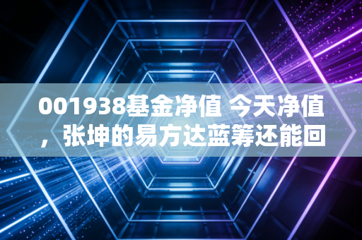 001938基金净值 今天净值,张坤的易方达蓝筹还能回到巅峰吗?深度复盘与投资思考