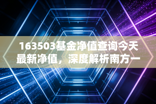 163503基金净值查询今天最新净值,深度解析南方一帆混合的投资逻辑与持有体验