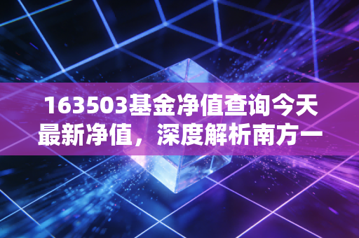 163503基金净值查询今天最新净值，深度解析南方一帆混合的投资逻辑与持有体验