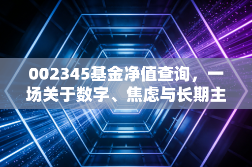002345基金净值查询,一场关于数字、焦虑与长期主义的深度对话