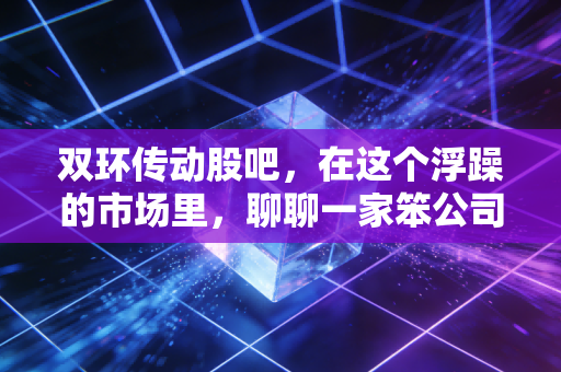 双环传动股吧，在这个浮躁的市场里，聊聊一家笨公司如何成为隐形冠军