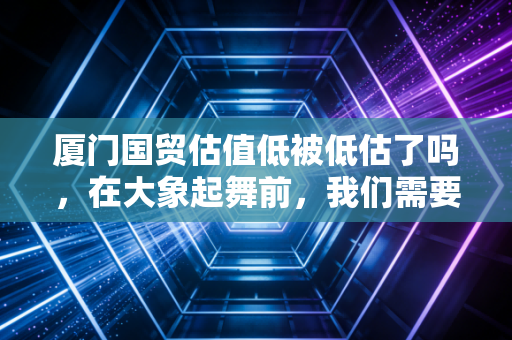 厦门国贸估值低被低估了吗,在大象起舞前,我们需要看清脚下的路