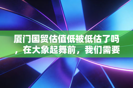 厦门国贸估值低被低估了吗,在大象起舞前,我们需要看清脚下的路