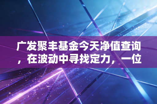 广发聚丰基金今天净值查询,在波动中寻找定力,一位老基民的投资反思