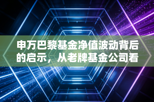 申万巴黎基金净值波动背后的启示,从老牌基金公司看投资的人性博弈