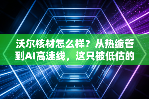 沃尔核材怎么样？从热缩管到AI高速线，这只被低估的隐形冠军还能上车吗？