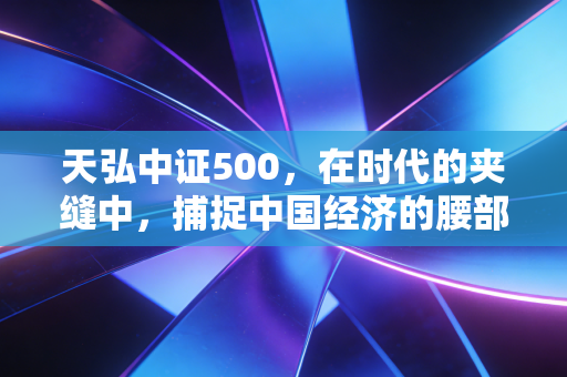 天弘中证500，在时代的夹缝中，捕捉中国经济的腰部力量