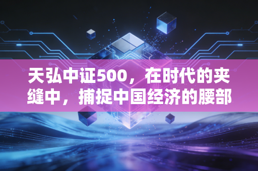 天弘中证500，在时代的夹缝中，捕捉中国经济的腰部力量