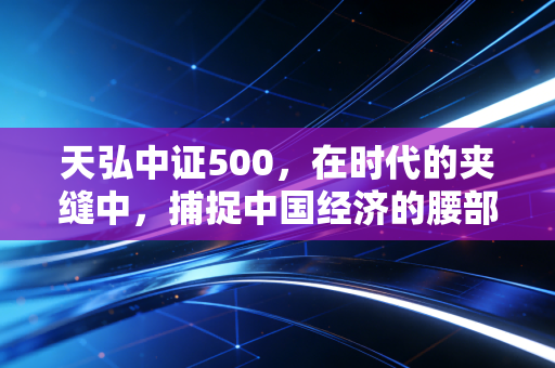 天弘中证500，在时代的夹缝中，捕捉中国经济的腰部力量