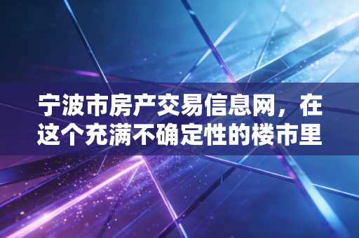 宁波市房产交易信息网,在这个充满不确定性的楼市里,它是你唯一的避雷针和藏宝图