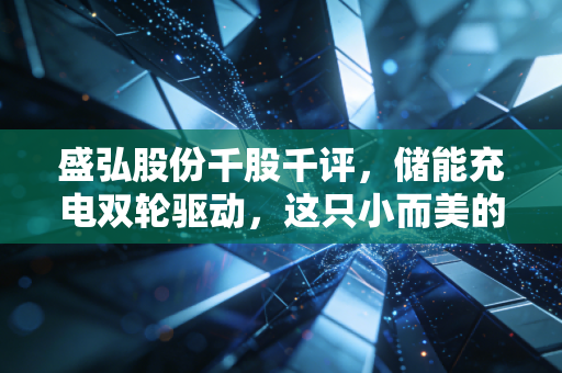 盛弘股份千股千评，储能充电双轮驱动，这只小而美的隐形冠军能飞多高？