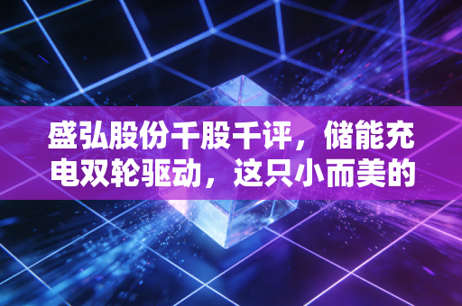 盛弘股份千股千评，储能充电双轮驱动，这只小而美的隐形冠军能飞多高？