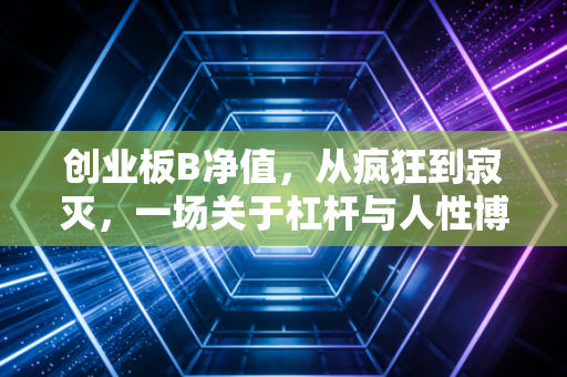创业板B净值，从疯狂到寂灭，一场关于杠杆与人性博弈的深度复盘