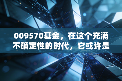 009570基金,在这个充满不确定性的时代,它或许是你资产配置的压舱石