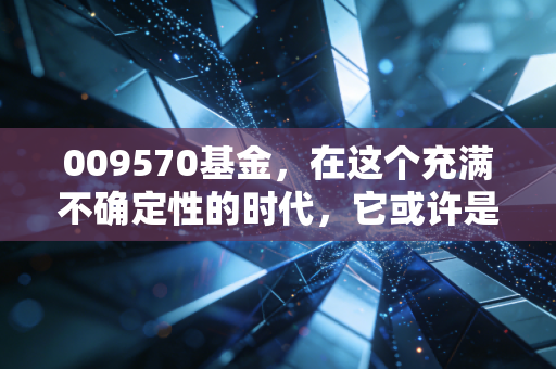009570基金,在这个充满不确定性的时代,它或许是你资产配置的压舱石