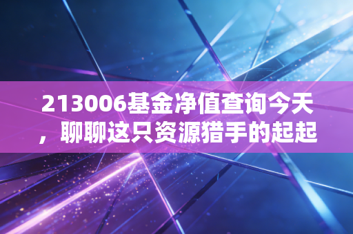 213006基金净值查询今天,聊聊这只资源猎手的起起伏伏与投资心法