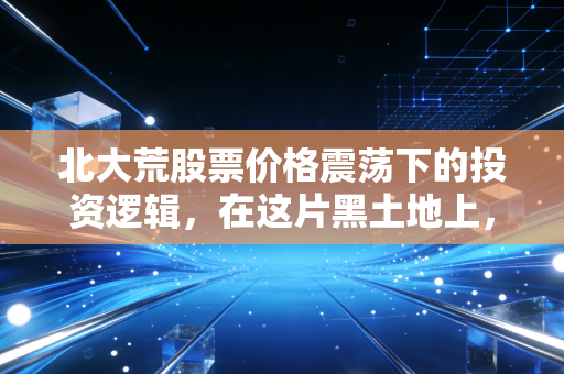 北大荒股票价格震荡下的投资逻辑,在这片黑土地上,我们到底在交易什么?