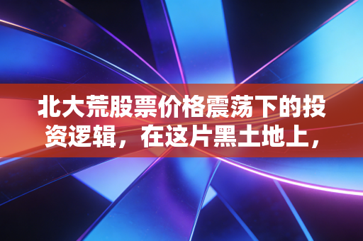 北大荒股票价格震荡下的投资逻辑,在这片黑土地上,我们到底在交易什么?