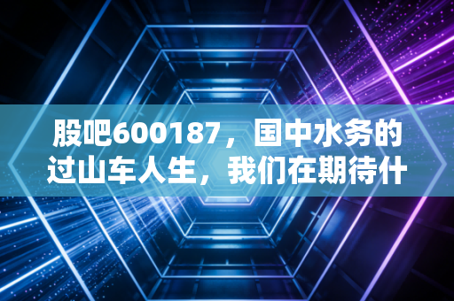 股吧600187,国中水务的过山车人生,我们在期待什么?