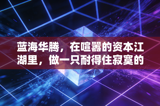 蓝海华腾,在喧嚣的资本江湖里,做一只耐得住寂寞的技术苦行僧