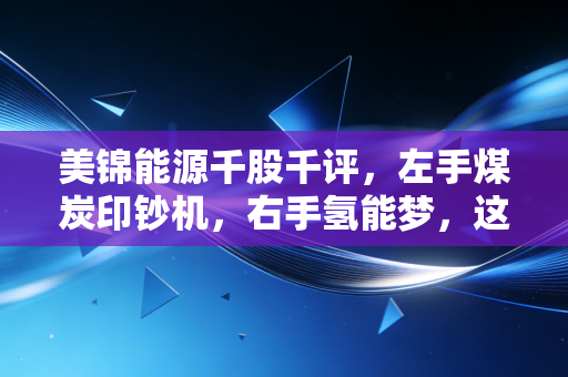 美锦能源千股千评,左手煤炭印钞机,右手氢能梦,这只双面股票到底能不能买?