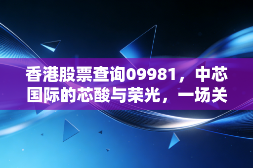 香港股票查询09981,中芯国际的芯酸与荣光,一场关于信仰的投资博弈