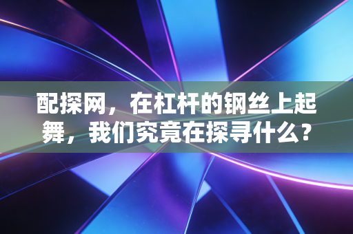 配探网，在杠杆的钢丝上起舞，我们究竟在探寻什么？