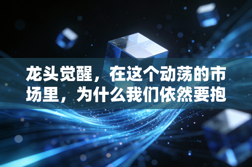 龙头觉醒,在这个动荡的市场里,为什么我们依然要抱紧带头大哥的大腿?
