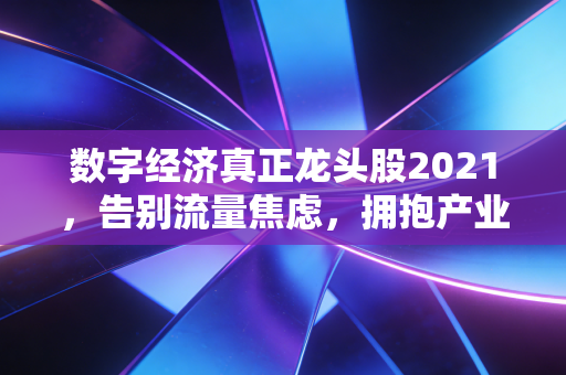 数字经济真正龙头股2021,告别流量焦虑,拥抱产业互联网的隐形王者