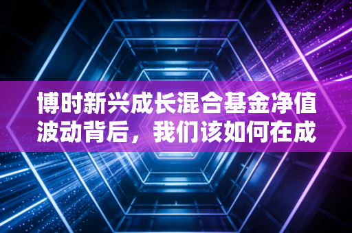 博时新兴成长混合基金净值波动背后，我们该如何在成长股的过山车里寻找稳稳的幸福？