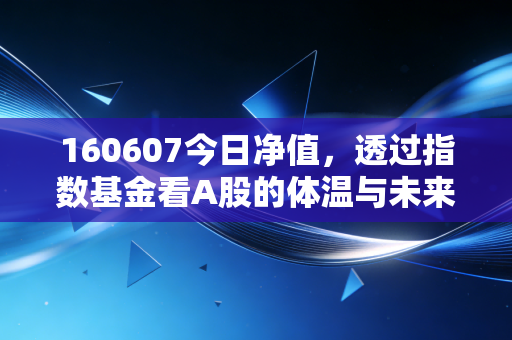 160607今日净值,透过指数基金看A股的体温与未来