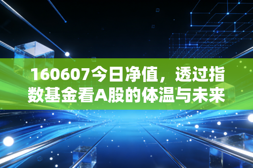 160607今日净值,透过指数基金看A股的体温与未来