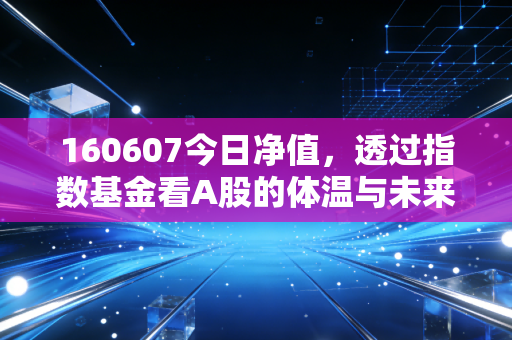 160607今日净值,透过指数基金看A股的体温与未来