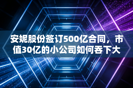 安妮股份签订500亿合同,市值30亿的小公司如何吞下大象?这究竟是风口还是陷阱?