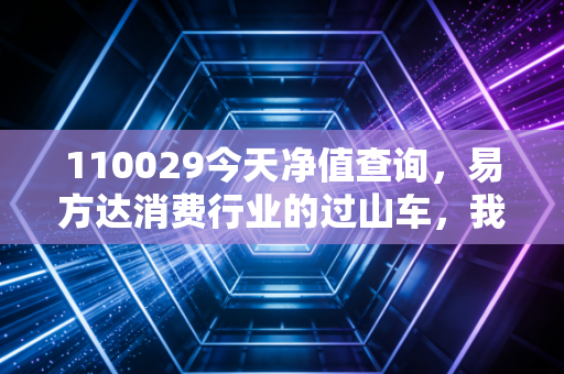 110029今天净值查询,易方达消费行业的过山车,我们还能坐多久?
