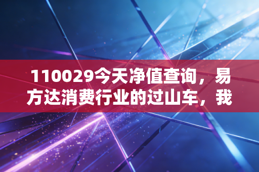 110029今天净值查询,易方达消费行业的过山车,我们还能坐多久?