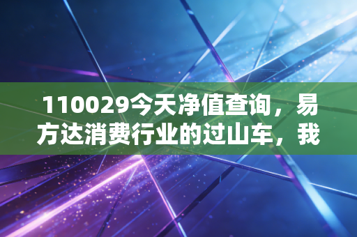 110029今天净值查询,易方达消费行业的过山车,我们还能坐多久?