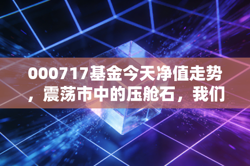000717基金今天净值走势,震荡市中的压舱石,我们该如何看待华夏沪深300ETF联接A?