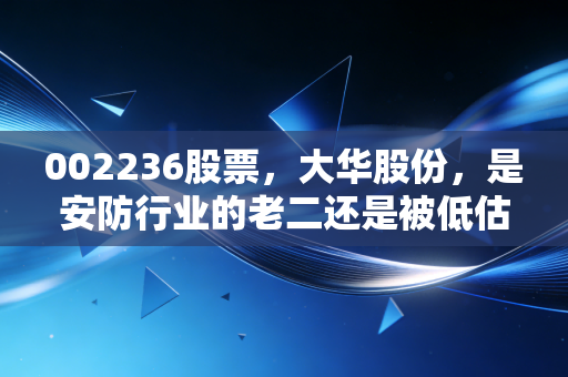002236股票,大华股份,是安防行业的老二还是被低估的AI潜力股?