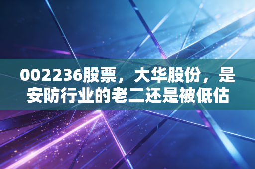 002236股票,大华股份,是安防行业的老二还是被低估的AI潜力股?