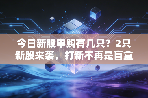 今日新股申购有几只?2只新股来袭,打新不再是盲盒游戏,你的策略该变一变了