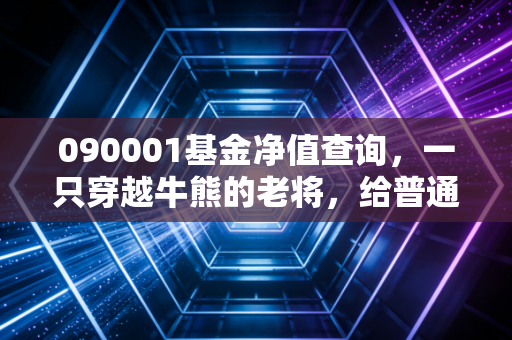 090001基金净值查询,一只穿越牛熊的老将,给普通投资者的温情提醒