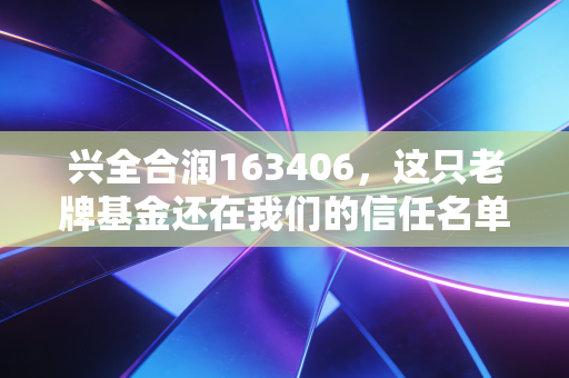 兴全合润163406,这只老牌基金还在我们的信任名单上吗?深度聊聊投资中的坚守与变局