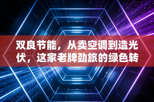 双良节能，从卖空调到造光伏，这家老牌劲旅的绿色转身到底值不值得托付？