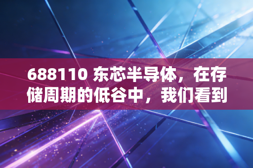 688110 东芯半导体,在存储周期的低谷中,我们看到了怎样的微光?
