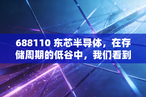 688110 东芯半导体,在存储周期的低谷中,我们看到了怎样的微光?