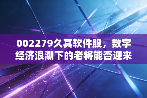 002279久其软件股,数字经济浪潮下的老将能否迎来第二春?