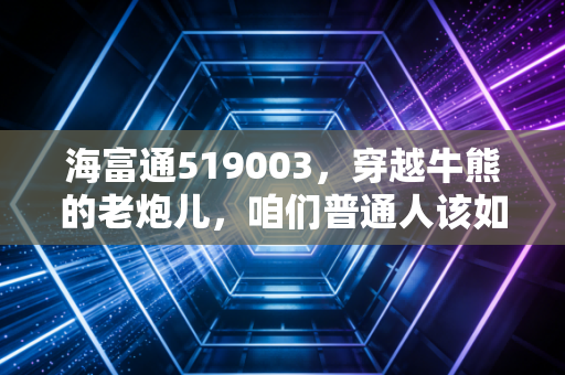 海富通519003,穿越牛熊的老炮儿,咱们普通人该如何借力?