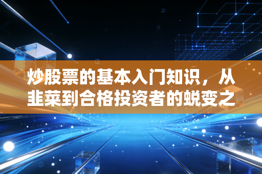 炒股票的基本入门知识,从韭菜到合格投资者的蜕变之路