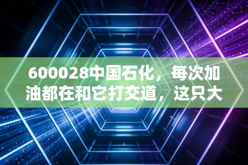 600028中国石化,每次加油都在和它打交道,这只大象到底能不能带我们稳稳致富?